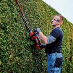 Einhell Power X-Change GE-CH 36/65 Li-Solo Cordless Hedge Trimmer (Bare Unit) -Disney Accessories Sales 3B73FBD1 D2B4 4F08 819F E02417DDAD99 huge
