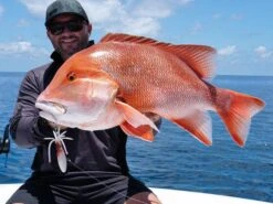 Nomad Squidtrex Jig Lure 110mm Brown Sparkle