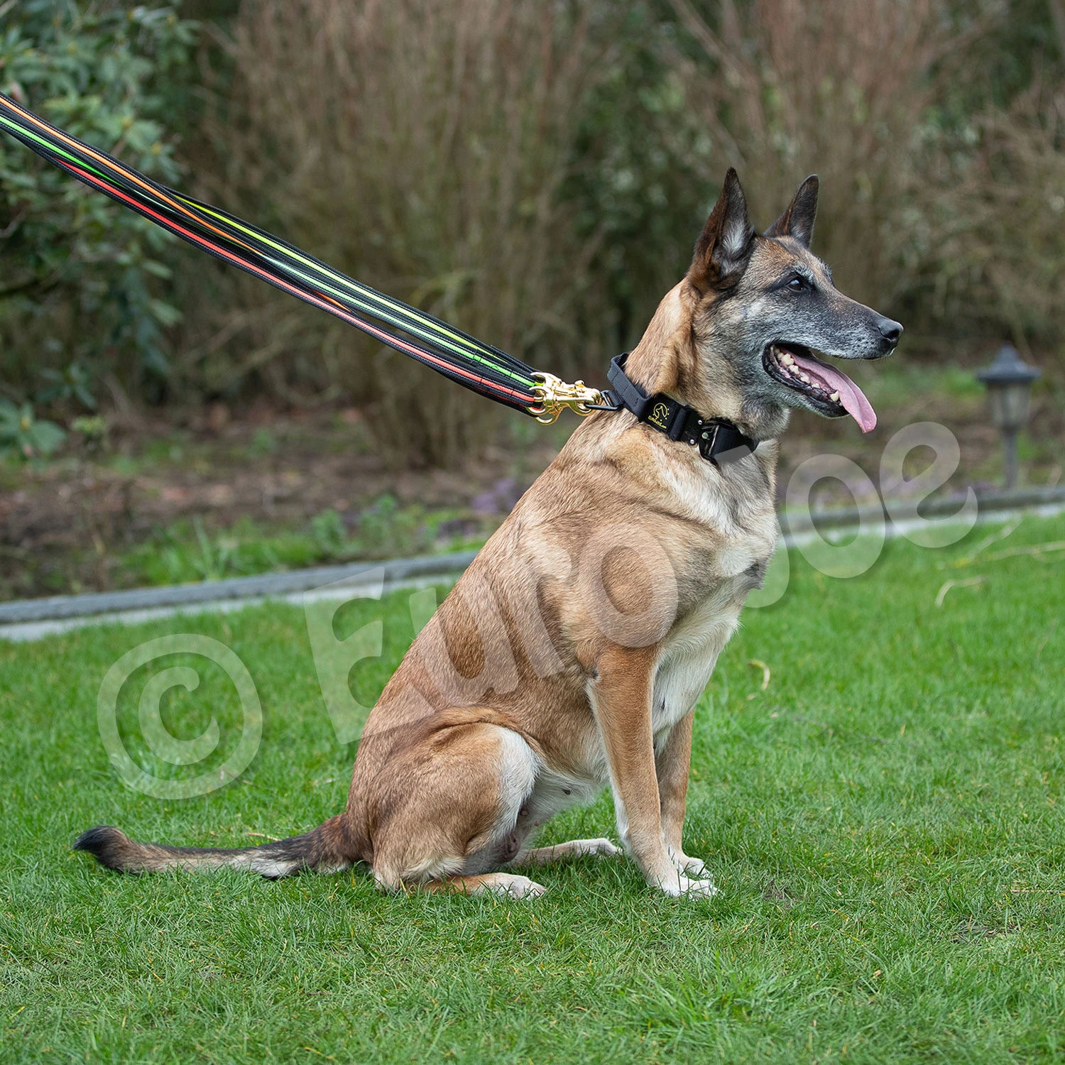 Black-Neon Leash Without Handle 11 Black-Neon Leash Without Handle - Image 11