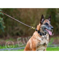 Black-Neon Leash Without Handle 18 Black-Neon Leash Without Handle -Disney Accessories Sales Black neon 07