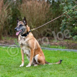 Black-Neon Leash Without Handle 19 Black-Neon Leash Without Handle -Disney Accessories Sales Black neon 08