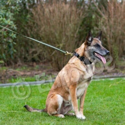 Black-Neon Leash Without Handle 16 Black-Neon Leash Without Handle -Disney Accessories Sales Black neon 09