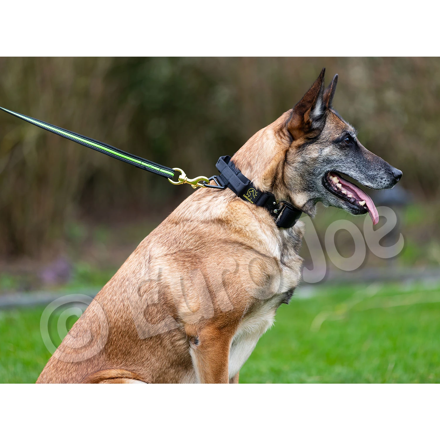 Black-Neon Leash Without Handle 2 Black-Neon Leash Without Handle - Image 2