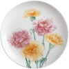 Maxwell And Williams Katherine Castle Floriade Plate 20cm Carnations Gift Boxed -Disney Accessories Sales Maxwell WilliamsKatherineCastleFloriadePlate20cmCarnationsJY0046 1024x1024