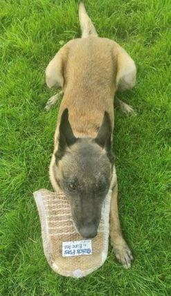 Bite Cushion "Quick Play" Jute -Disney Accessories Sales Quick play 4