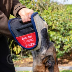 Soft Bitecushion "T-Rex" -Disney Accessories Sales T Rex 7