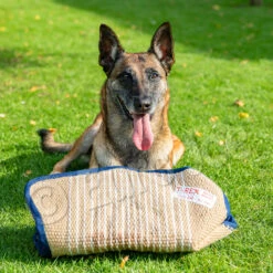 Soft Bitecushion "T-Rex" -Disney Accessories Sales T Rex 8